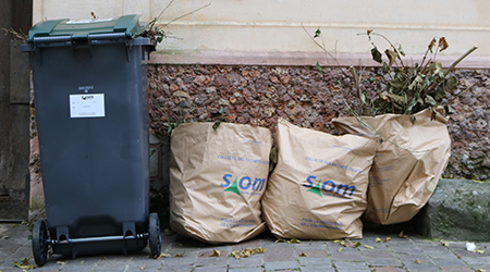 Déchets végétaux : les bacs remplacent les sacs (2)